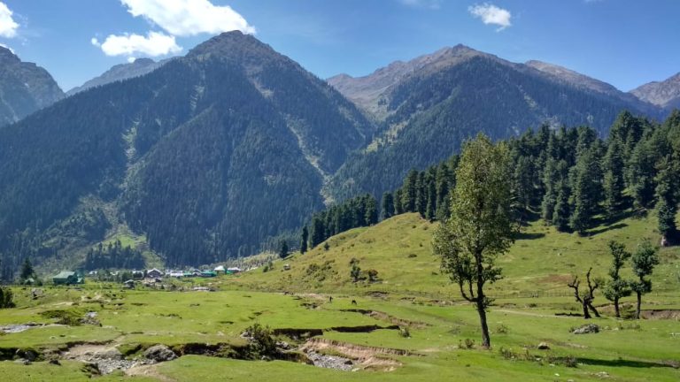 an image of aru valley in Kashmir.