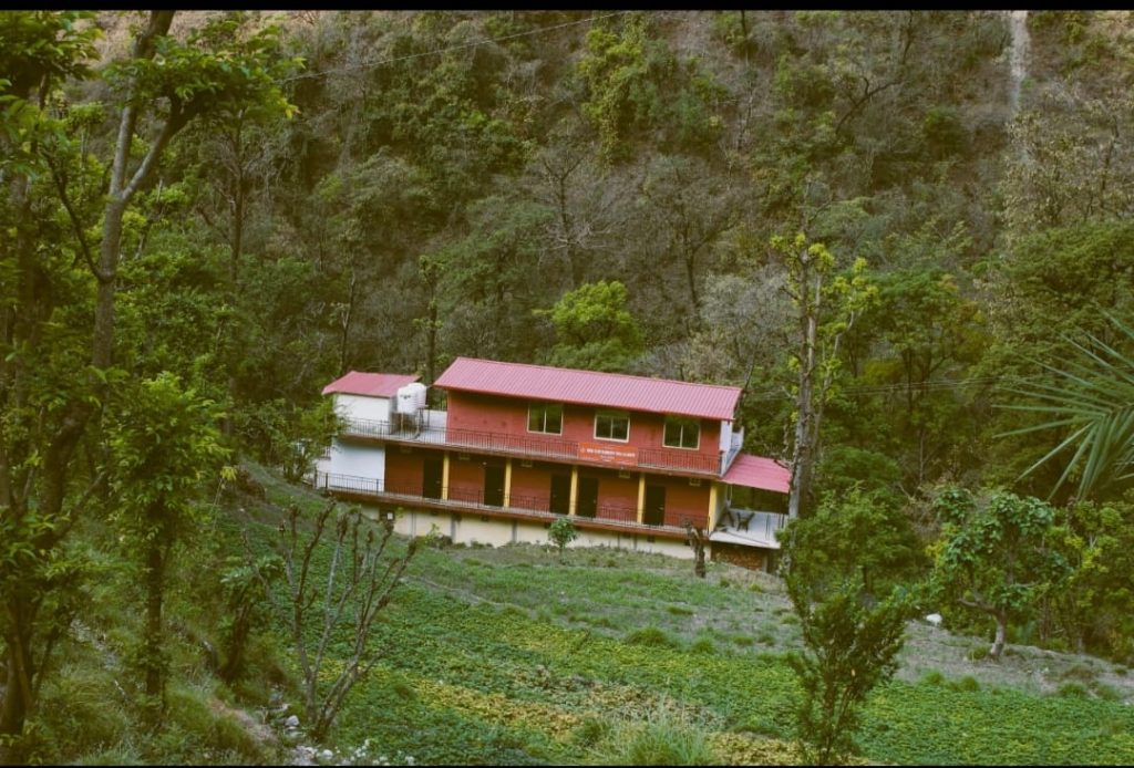 Photo of a house surrounded by trees.